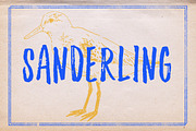 Sanderling Textured Font, a Script Font by Lettering Supply Co. (Thumbnail 1 of 17)
