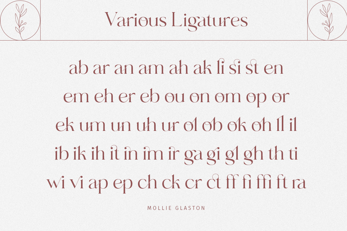 Mollie Glaston-Modern Ligature Serif, a Serif Font by Mulkan Nazir (Photo 14 of 14)