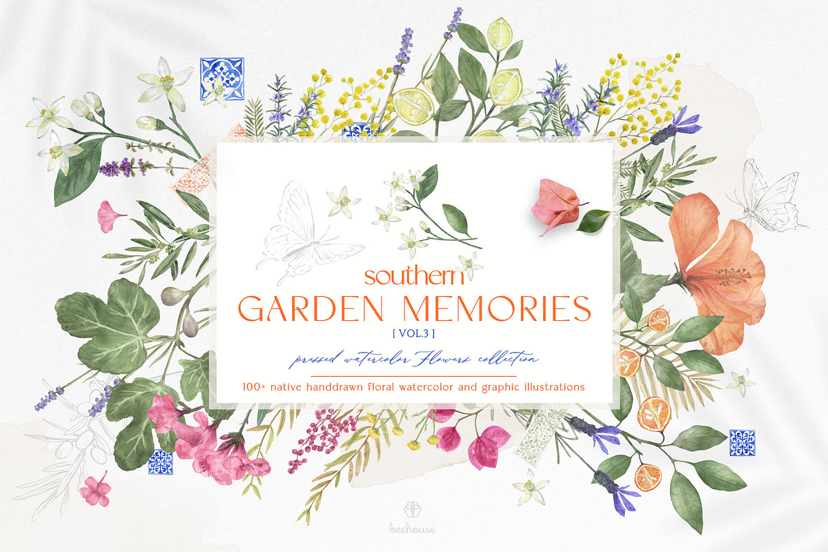 pressed-delicate-wild-meadow, a Decorative Illustration by beehouse studio (Photo 1 of 12)