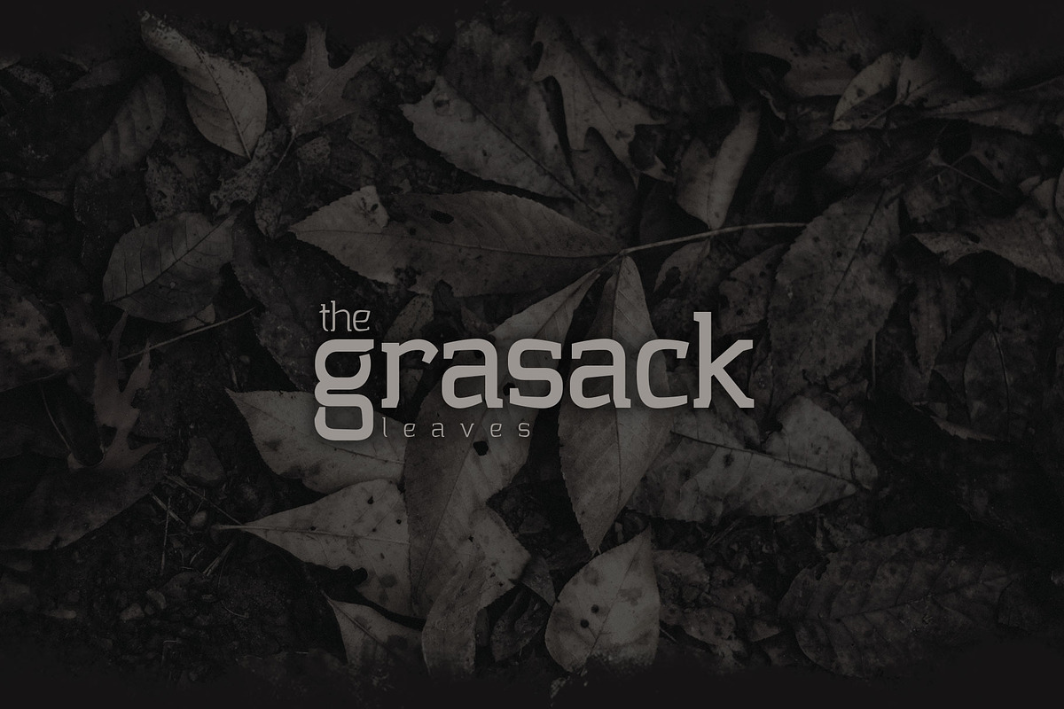 Collazio Serif Font, a Slab Serif Font by Vacatype Co. (Photo 3 of 5)