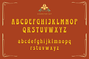 Amegrin - Vintage Display Font, a Serif Font by Sronstudio (Thumbnail 8 of 13)