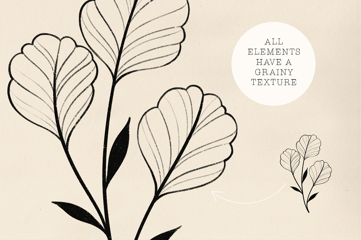 Handdrawn Botanicals, an Illustration by Ramona Schratt (Photo 7 of 8)