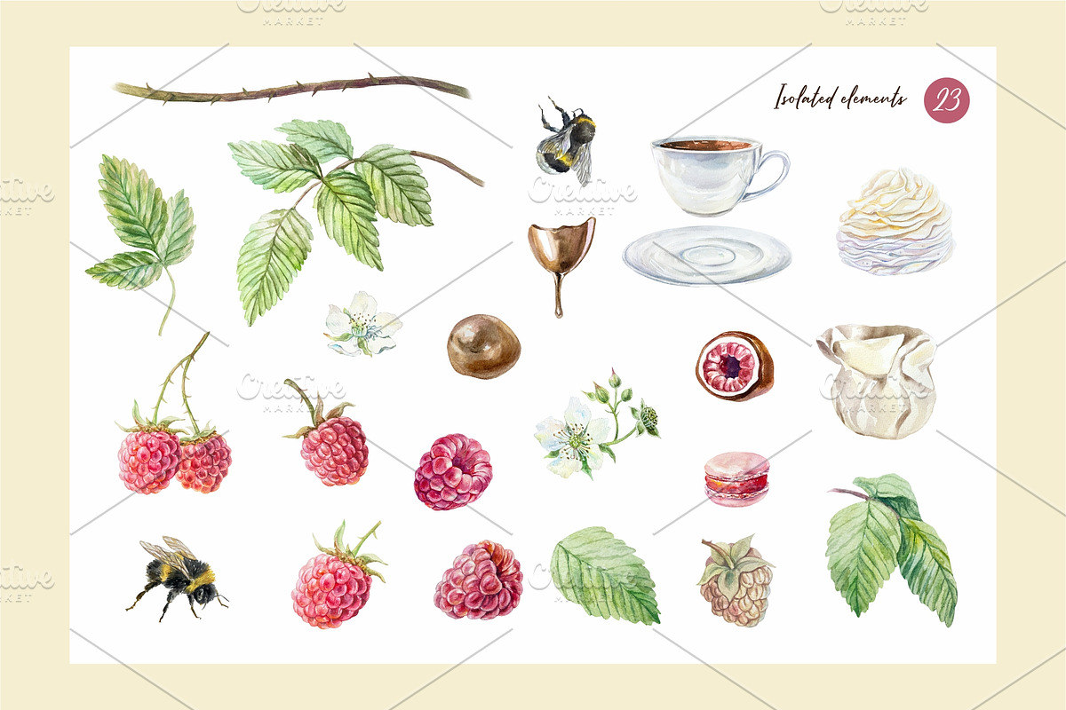 Raspberry. Watercolor Clip Art, a Food Illustration by Farida Bik (Photo 2 of 11)