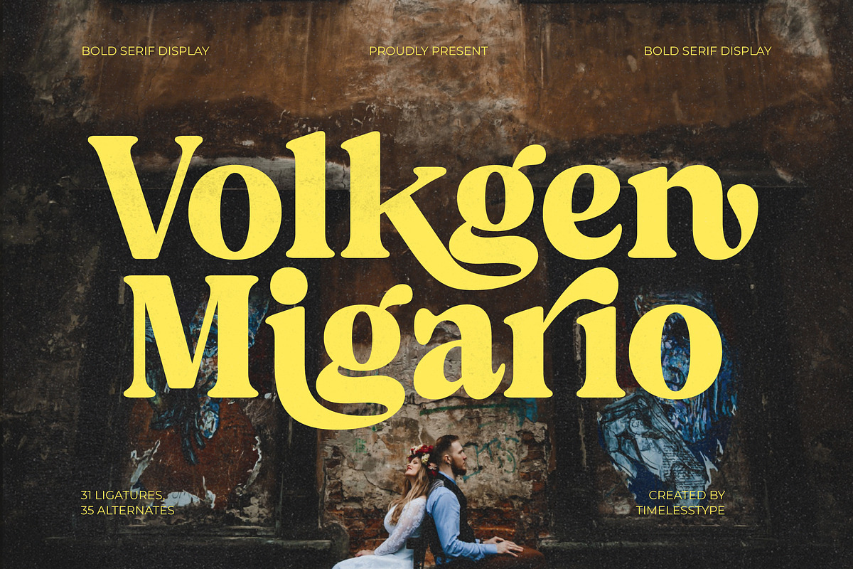 Volkgen Bold Modern Display Serif, a Serif Font by timelesstype.co (Photo 1 of 15)
