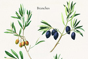Vintage Olive Graphic Collection, a Decorative Illustration by Olga Begak Art & Design (Thumbnail 2 of 11)