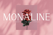 Monaline, a Serif Font by AEN Creative Studio (Thumbnail 1 of 8)