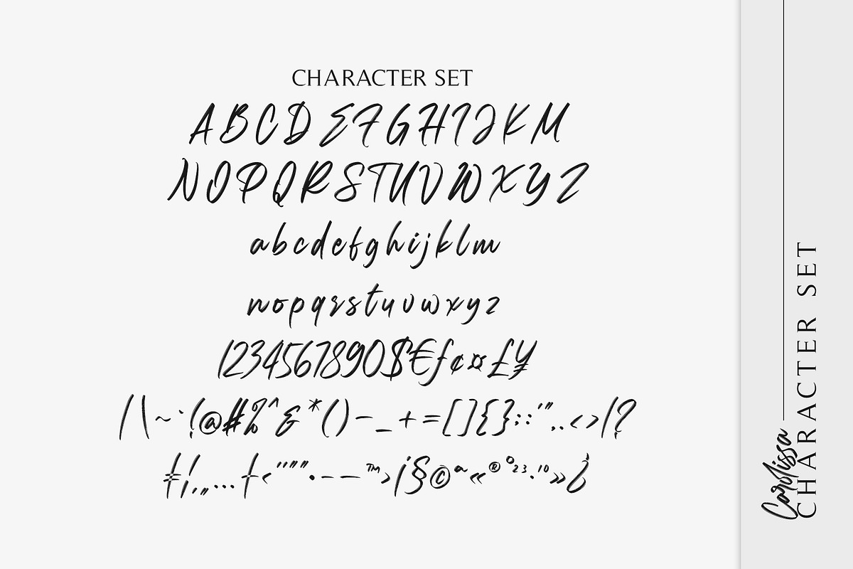 Carolissa, Handwritten Brush Script, a Script Font by Motokiwo (Photo 13 of 14)