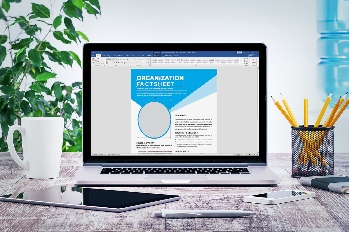 Nonprofit Organization Fact Sheet, a Flyer Template by obayes (Photo 3 of 3)