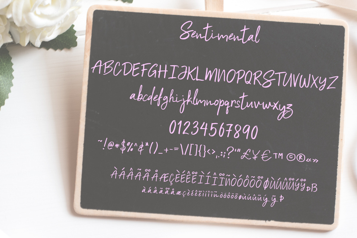 Sentimental | Script Font preview 7