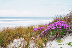 Calm Beach Scene Stock Photo