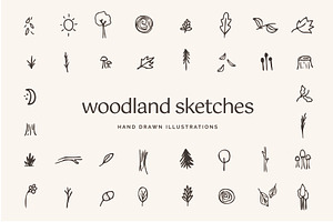 Woodland Icons Illustrations Forest