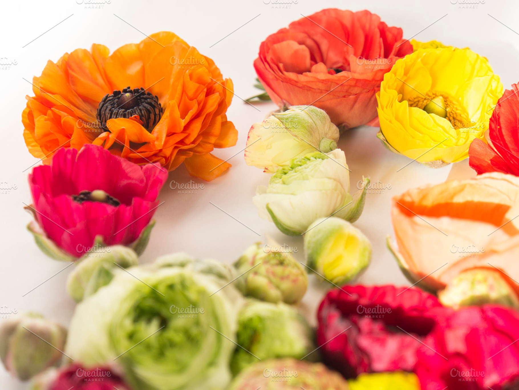 Floral Background Containing Flowers Background And Red