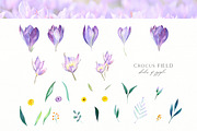Spring Crocus Flowers Watercolor set, an Illustration by Olga Koelsch (Thumbnail 7 of 8)