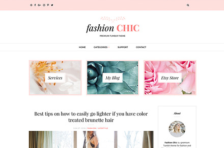 Fashion Chic Tumblr Theme