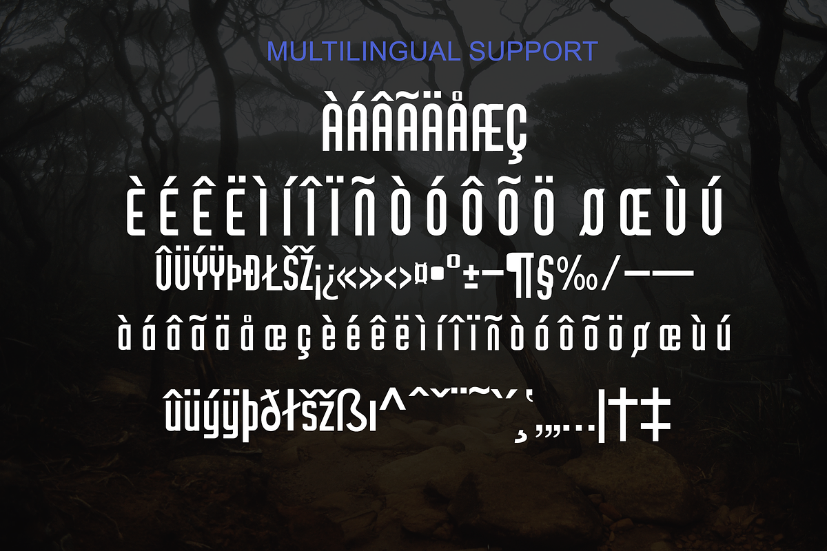 Borneo Pro - Modern Sans Serif, a Sans Serif Font by portype (Photo 3 of 5)