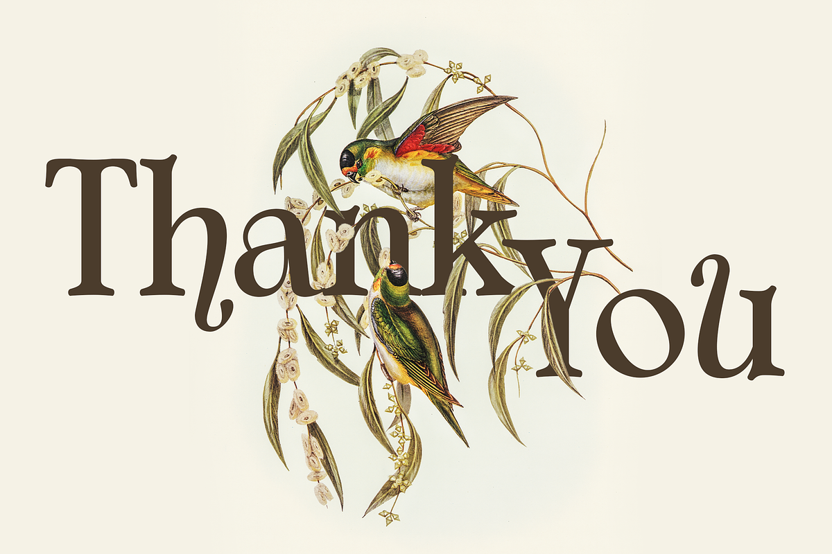 Aurelyne Stylish Elegant Serif Font, a Font by Graphue (Photo 9 of 9)