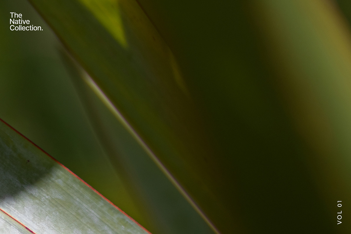 Natural textures - Green edition v01, a Texture Graphic by Haehae photography (Photo 5 of 6)