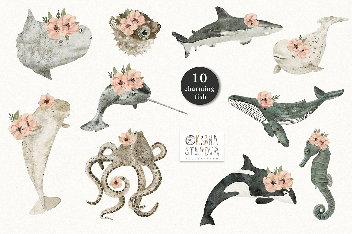 AQUATALES | 170+ elements, an Animal Illustration by Oksana Stepova (Photo 2 of 19)