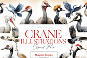 Crane Clipart, Crowned Crane, Birds, an Animal Illustration by BrushstrokeArtGB (Thumbnail 1 of 9)