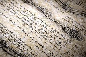 Old anatomy containing biology, anatomy, and drawing
