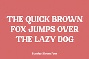 Sunday Bloom, a Serif Font by Prioritype Co (Thumbnail 2 of 11)