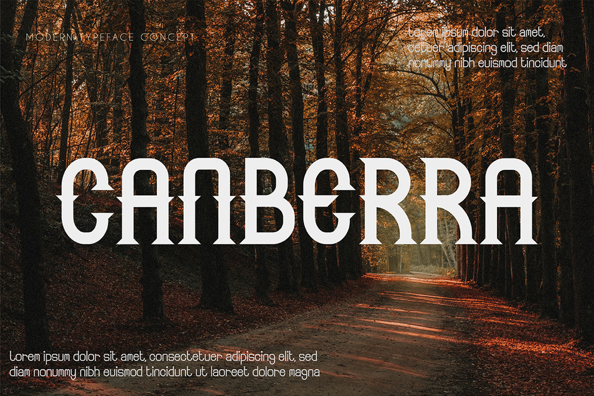Winslade | Elegant Serif, a Serif Font by Bewalrus Studio (Photo 5 of 8)