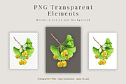 Medicinal Herbs Watercolor Clipart, a Healthcare Illustration by AnitaPol (Thumbnail 5 of 11)