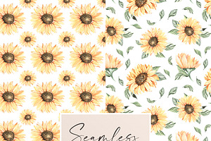 Sunflower Patterns