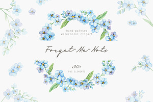Forget Me Not Watercolor Clipart