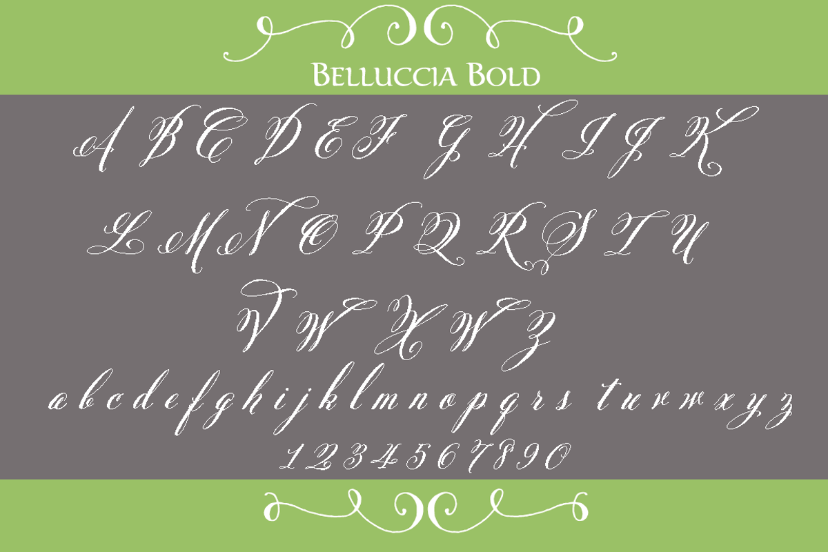 Belluccia Bold Font preview 2