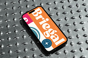 Briegal Modern Bold Serif Font, a Serif Font by timelesstype.co (Thumbnail 7 of 20)