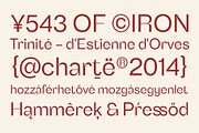 Benetti Grotesk, a Sans Serif Font by Craft Supply Co. (Thumbnail 2 of 8)