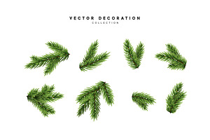 pine fir branches.