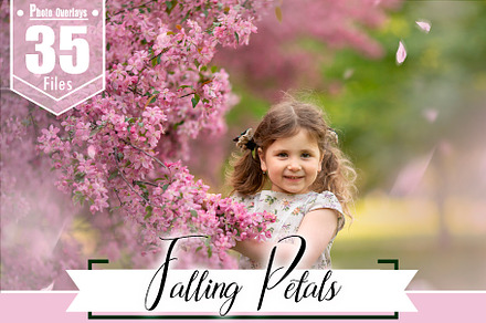25 White feather photo overlays preview 7