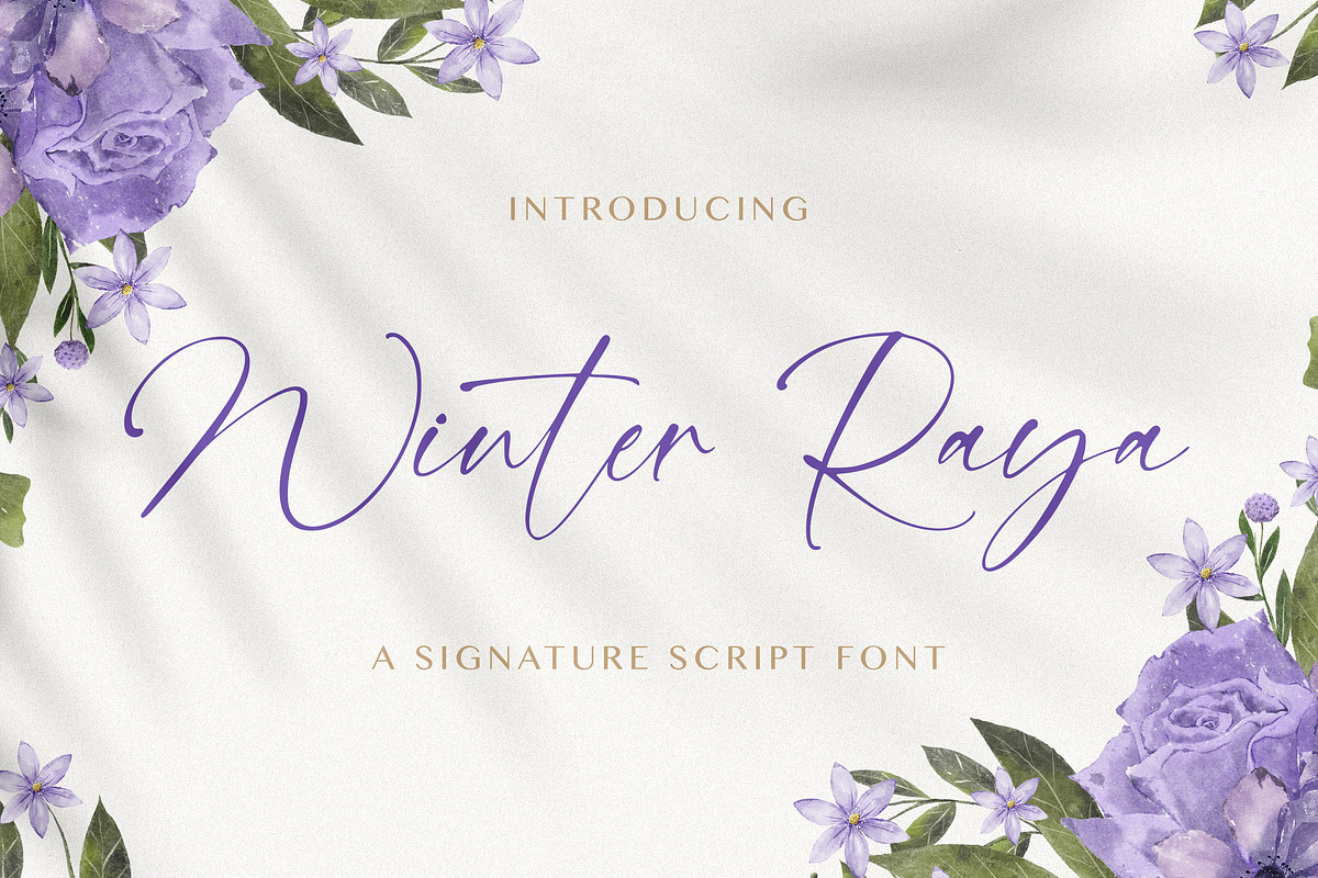 Winter Raya - Signature Font, a Script Font by StringLabs (Photo 1 of 8)