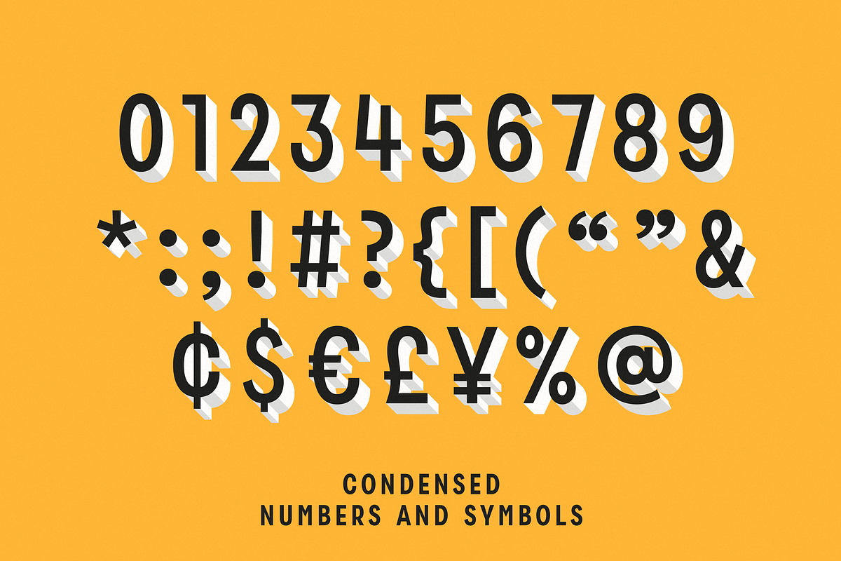 Zippy Gothic - A Huge Layered Family, a Sans Serif Font by Polytype (Photo 13 of 13)