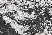 Twisted by Nature Vol 1, a Texture Graphic by Jennifer Lauren Creative (Thumbnail 18 of 19)
