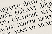 Wonder Type - high-end serif font, a Serif Font by VP Fonts (Thumbnail 13 of 20)