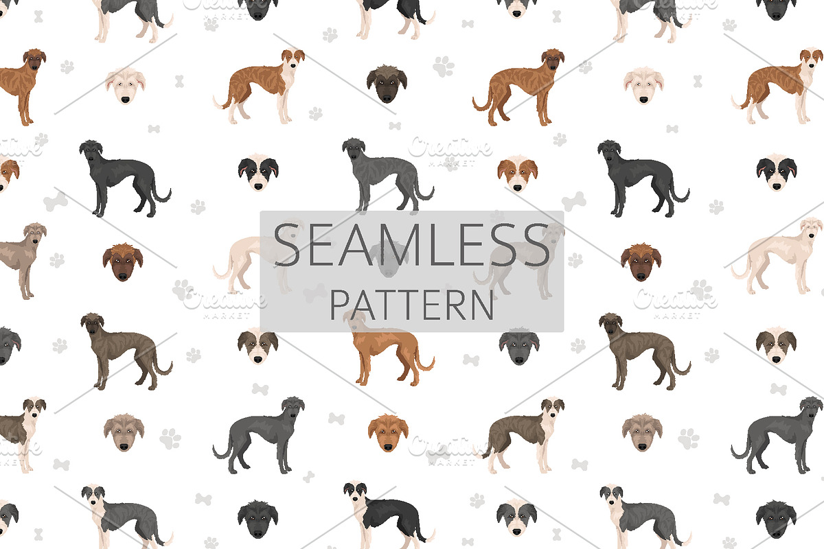 American Staghound dog, an Animal Illustration by pet design shop (Photo 6 of 6)