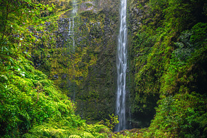 High waterfall in Madeira Island, a Nature Photo by Alpine Dreams