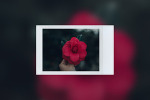 Instant Film Frames Pack - PSD