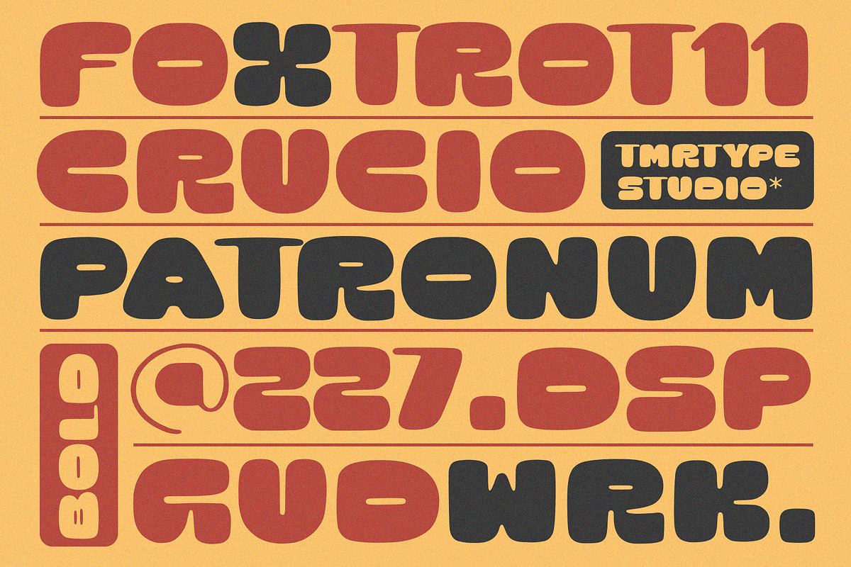 Diamond Queen Font, a Handwritten Font by Timurtype (Photo 2 of 7)