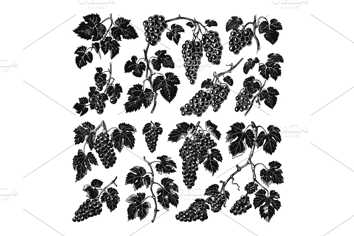 Various Sprigs of Grapes Linocut, a Food Illustration by LadadikArt