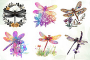 Dragonfly and Flowers Sublimation, an Illustration by CreationArt (Thumbnail 2 of 5)