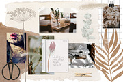Dried flowers and backgrounds, an Object Graphic by dasha mo (Thumbnail 2 of 6)