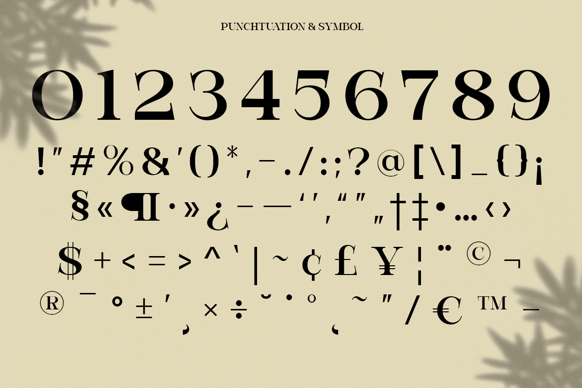 Modern Elegant Serif - Bevola, a Serif Font by RagamKata (Photo 9 of 10)
