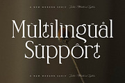 Naftegfo A New Modern Serif, a Serif Font by Storytype Studio (Thumbnail 11 of 15)