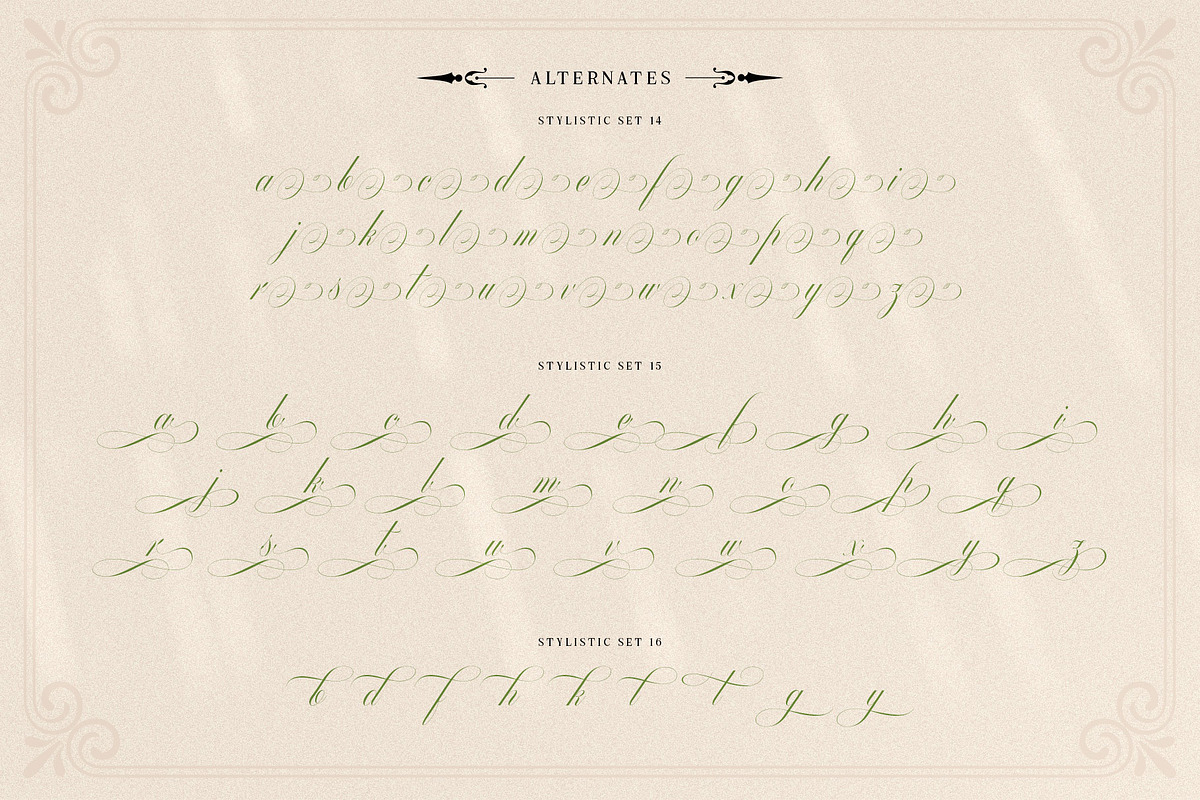 Mollani Nature Script, a Script Font by alit design (Photo 15 of 20)
