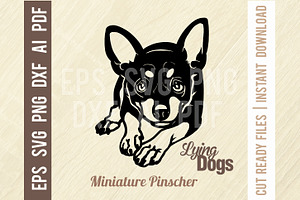 Miniature Pinscher - Lying Dog SVG