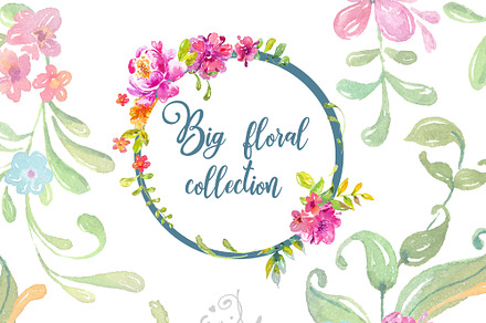 Watercolor floral collection